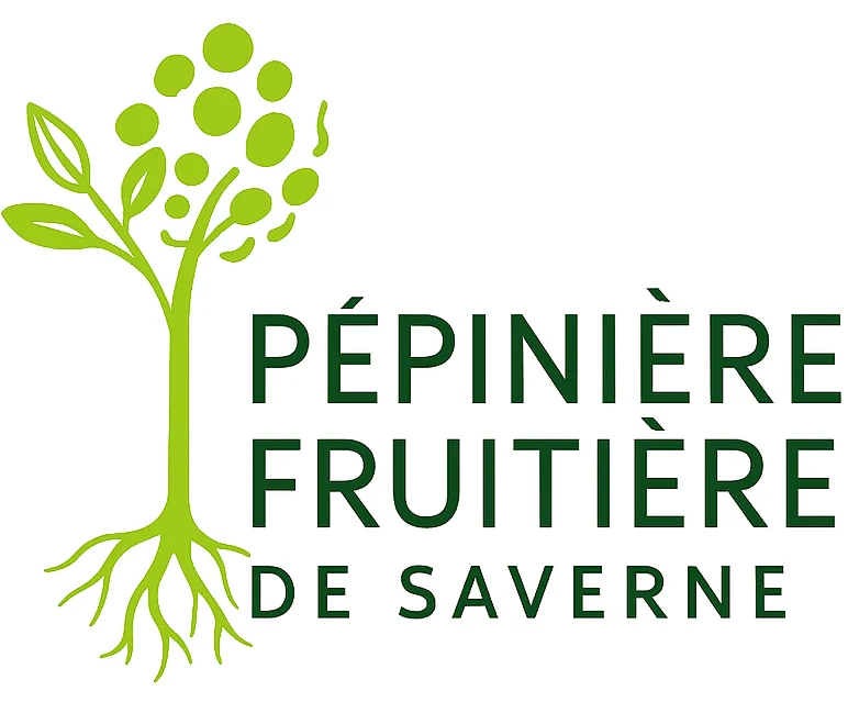 Logo www.pepinieresaverne.fr