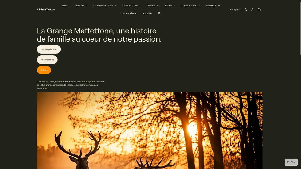 Screenshot de aetfmaffettone.fr