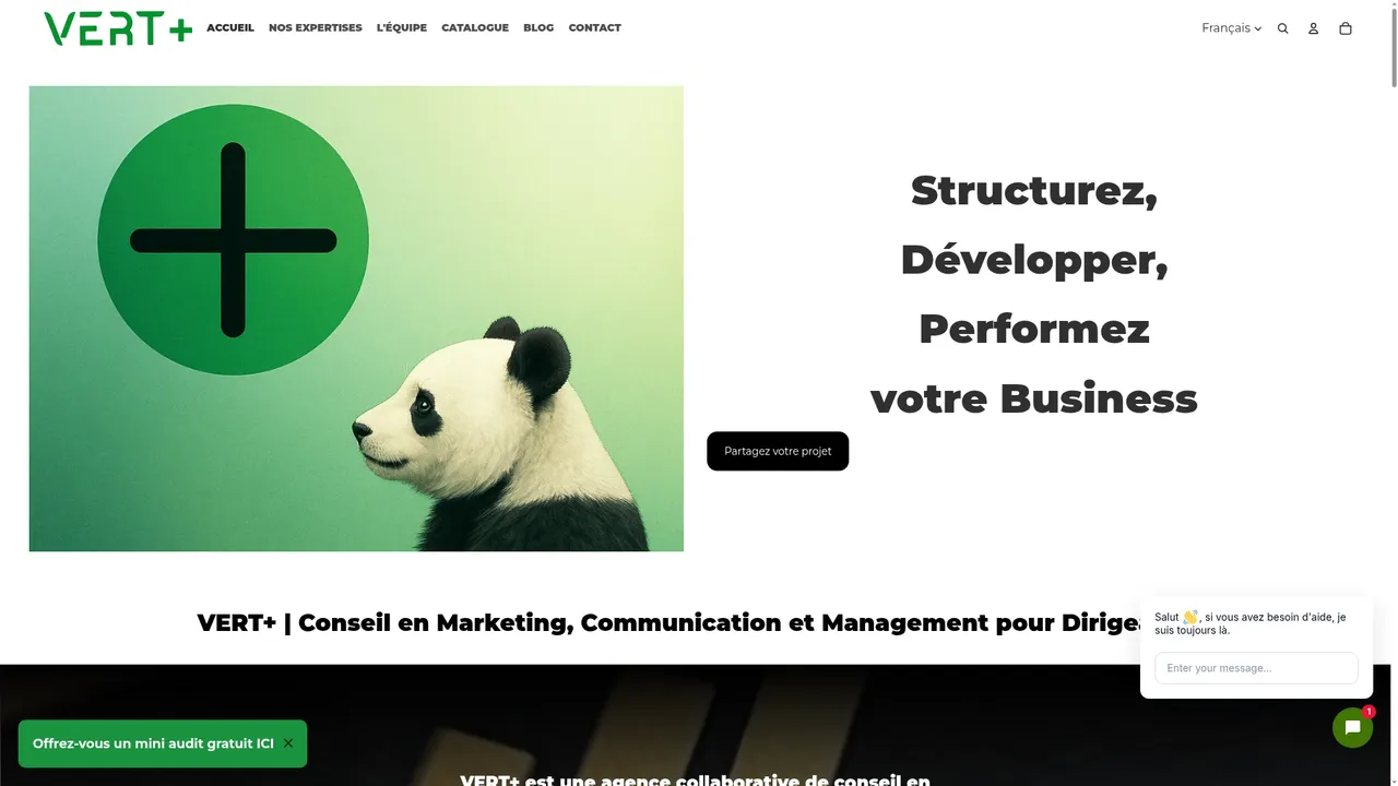 Aperçu du site Agence de Marketing , Communication et Management à Orléans Loiret 45