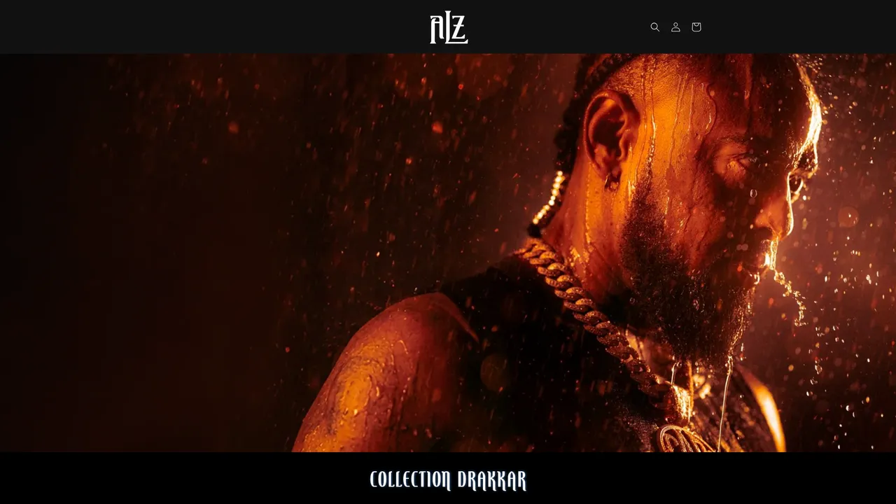 Aperçu du site ALONZO