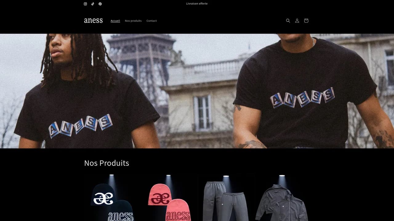 Aperçu du site aness