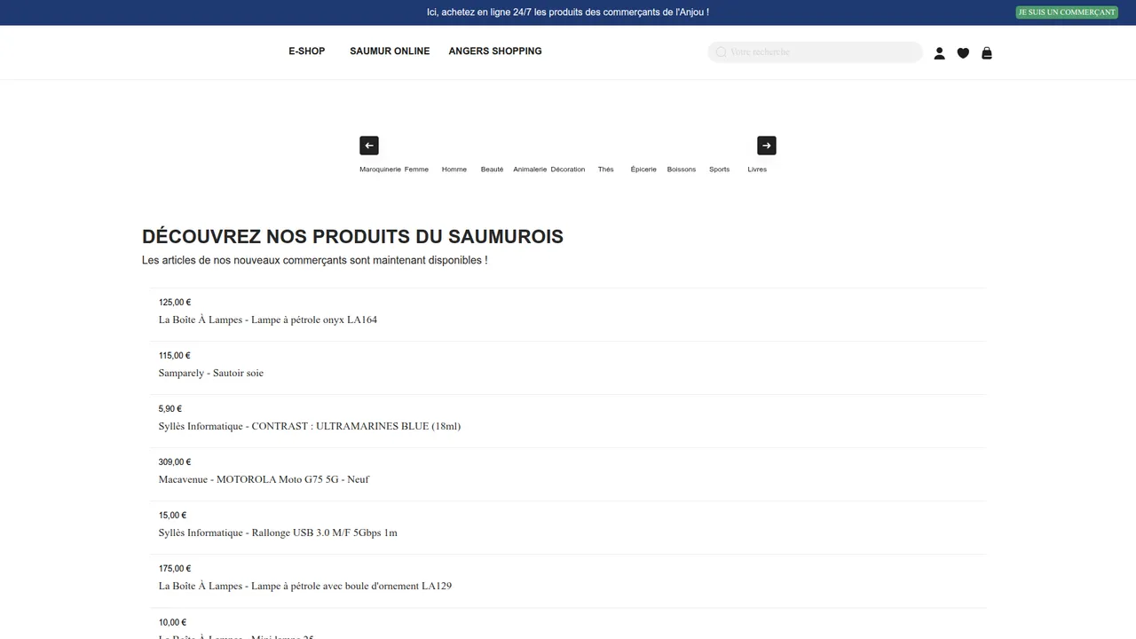 Aperçu du site Angers Shopping
