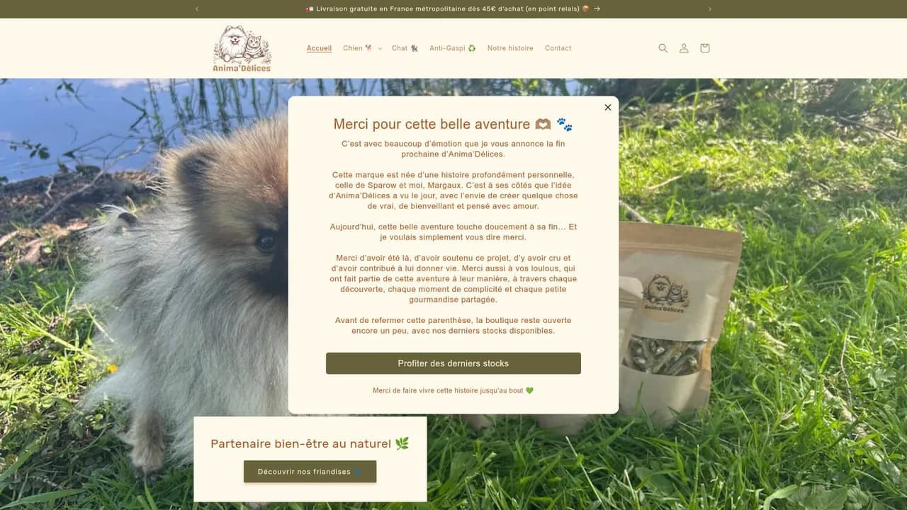 Screenshot de Anima'Délices