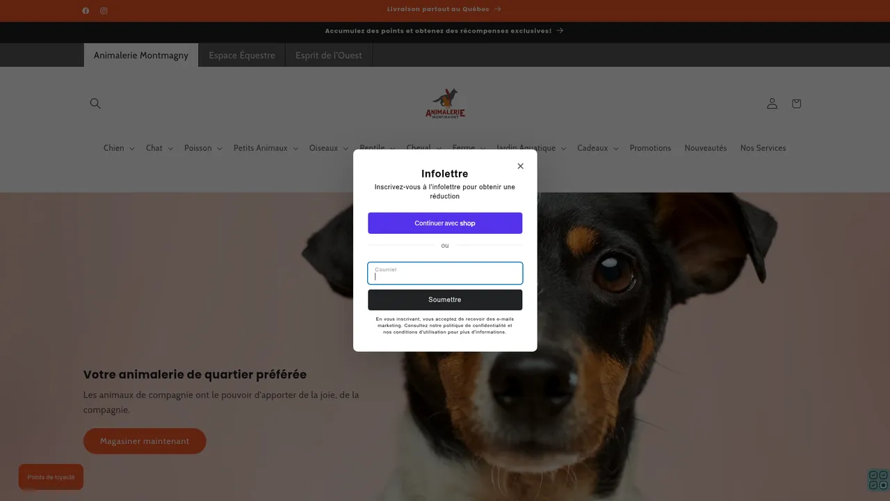 Aperçu du site Animalerie Montmagny