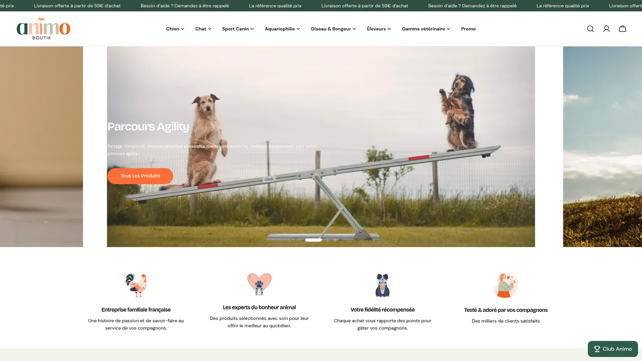 Aperçu du site Animo boutik