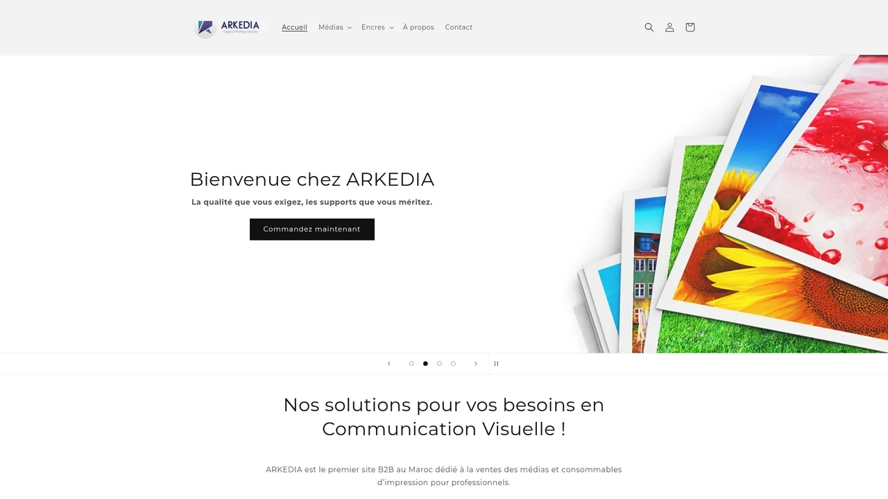 Aperçu du site ARKEDIA — Médias et consommables d’impression pour pros