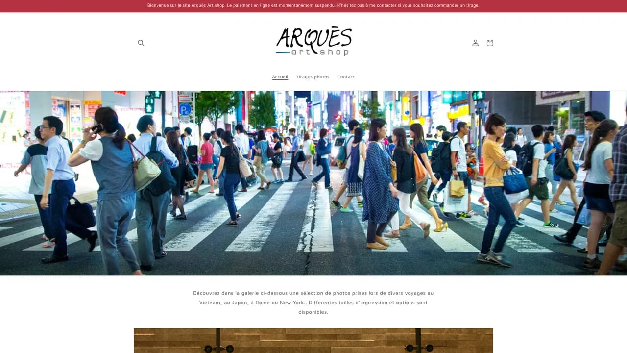 Aperçu du site Arquès Art