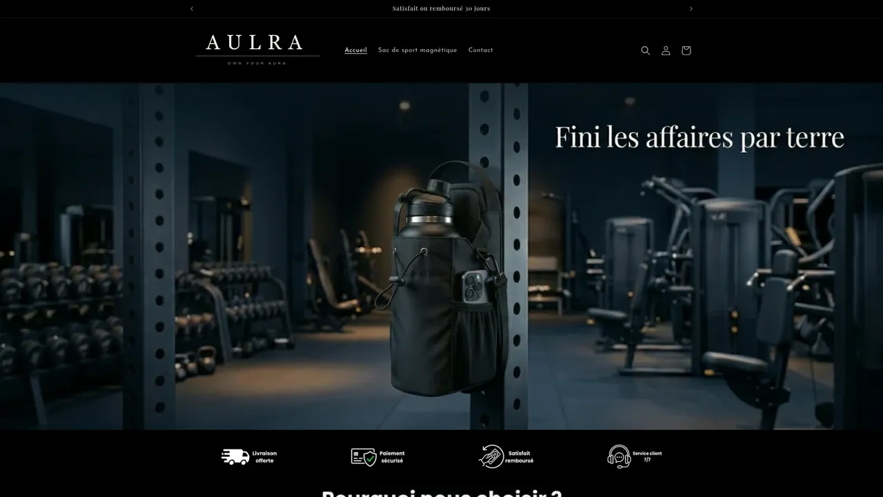 Aperçu du site AULRA