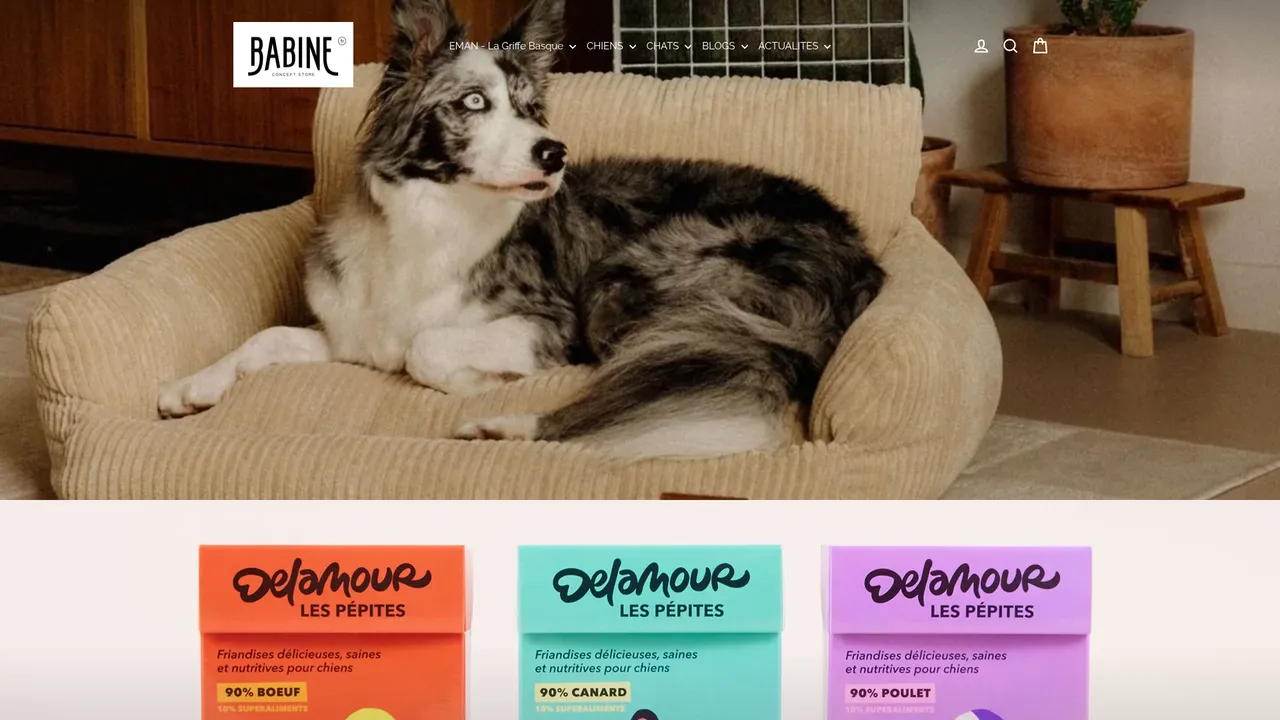 Aperçu du site BABINE Concept-Store