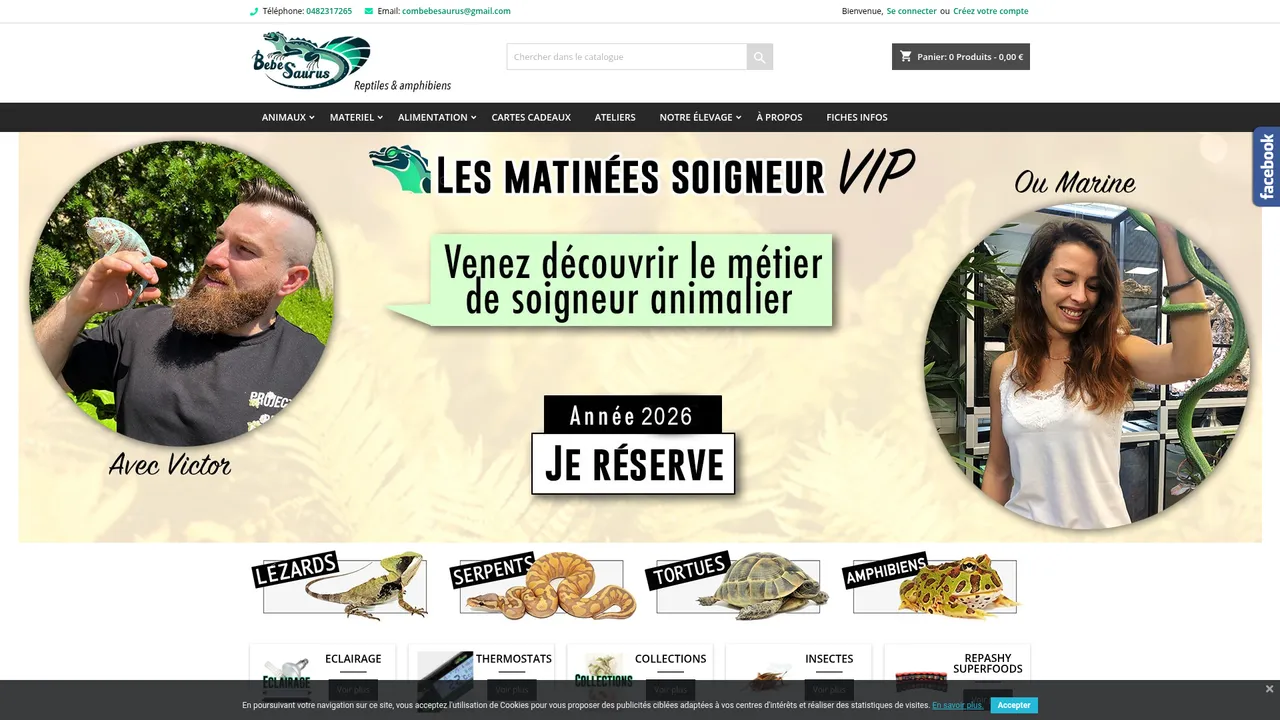 Aperçu du site Bebesaurus