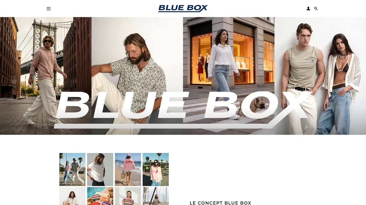 Aperçu du site Bluebox