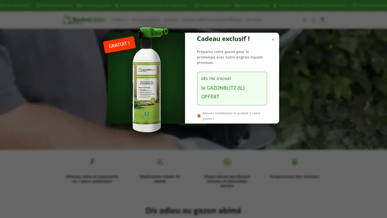 Aperçu du site Boden-Liebe.de