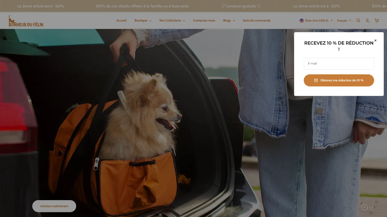 Screenshot de bonheurdufelin.com