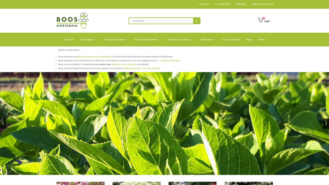 Screenshot de BOOS Hortensia