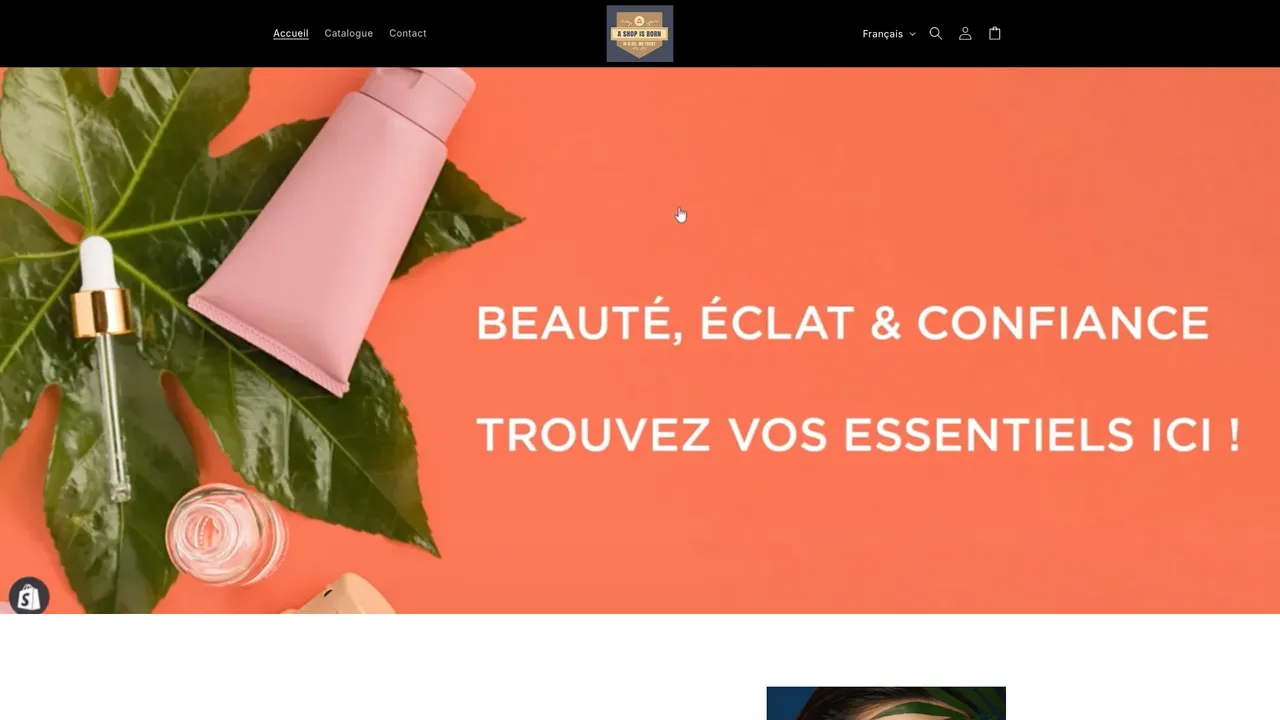 Screenshot de Boutique Ecom