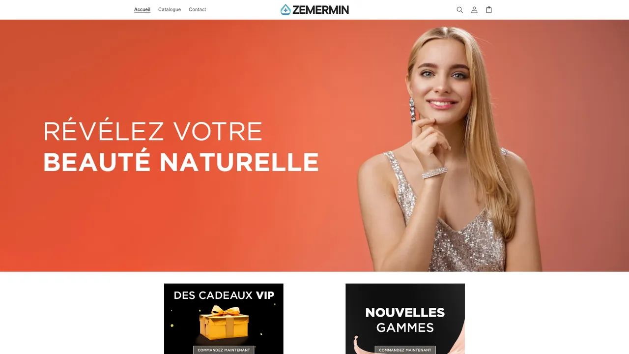 Aperçu du site Boutique Ecom