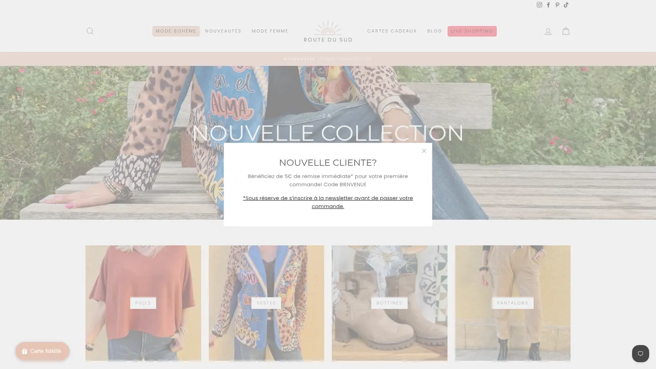 Aperçu du site boutiqueroutedusud.com