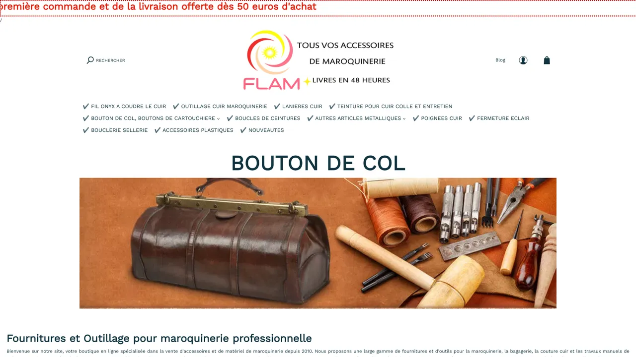 Aperçu du site Bouton de col