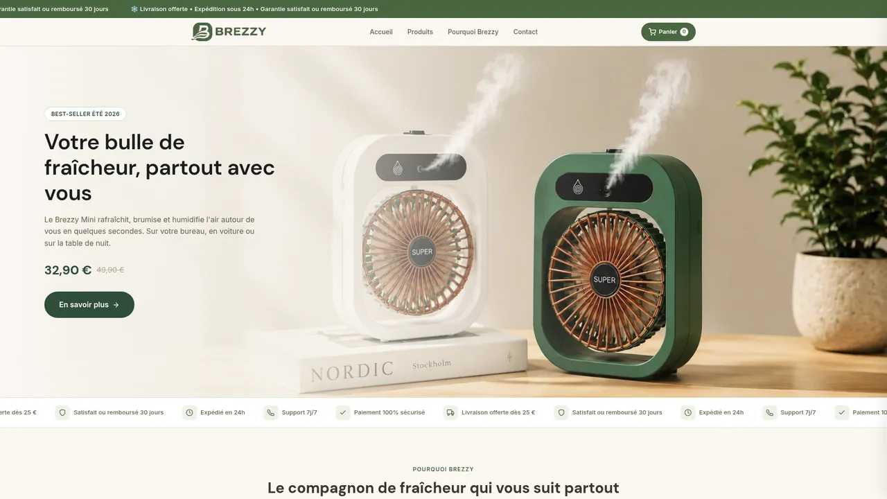 Aperçu du site Brezzy