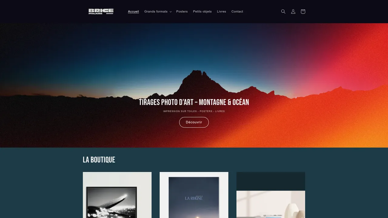 Aperçu du site Brice Philaire
