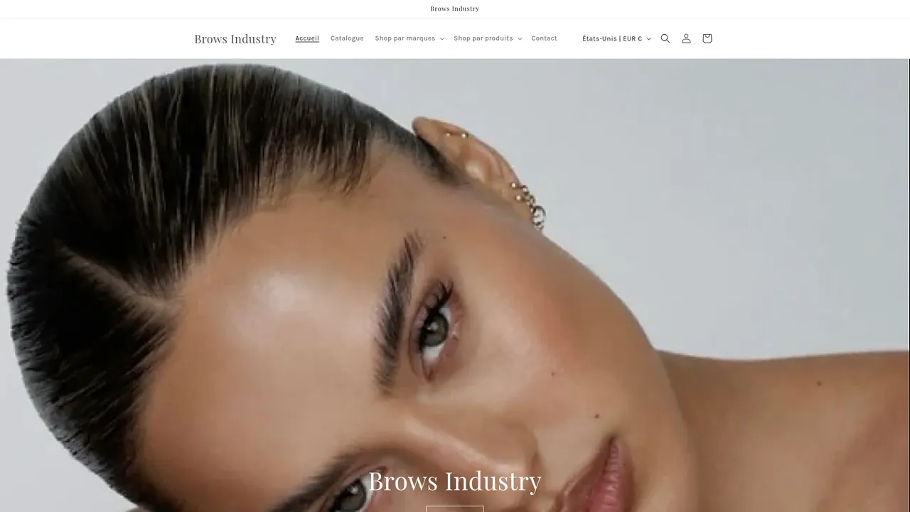 Aperçu du site browsindustry.fr