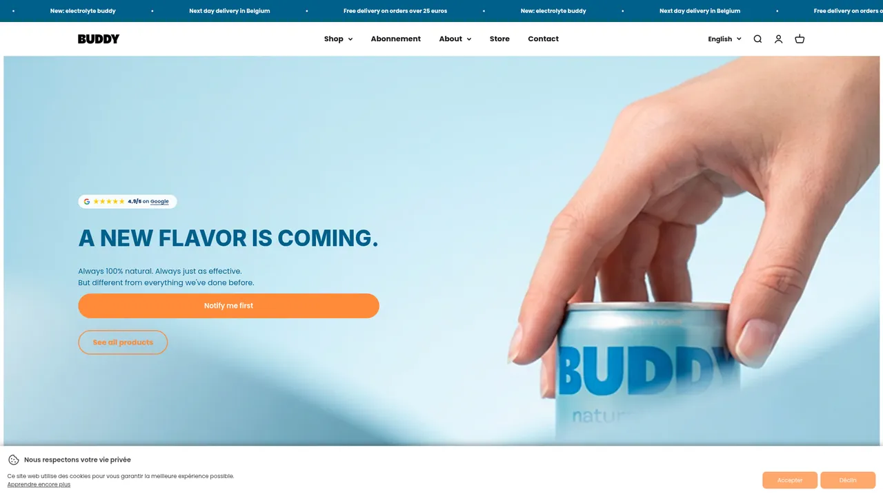 Aperçu du site buddy