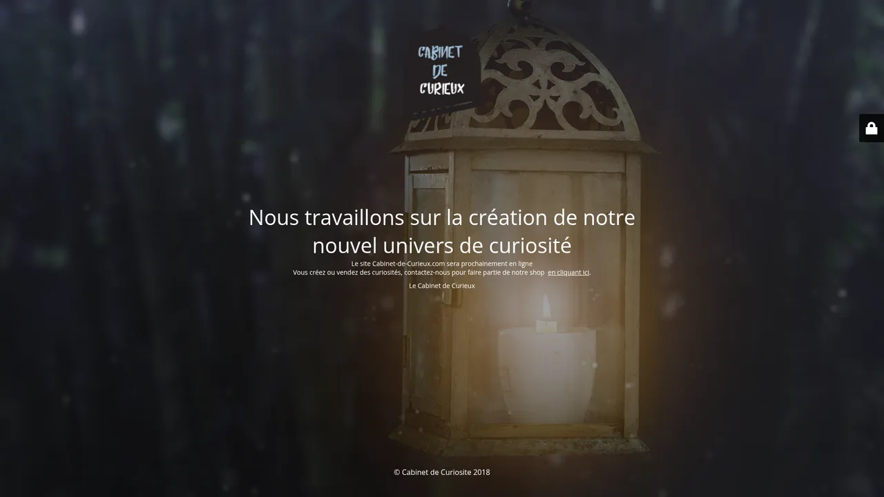 Aperçu du site Cabinet de Curieux, un shop de curiosités