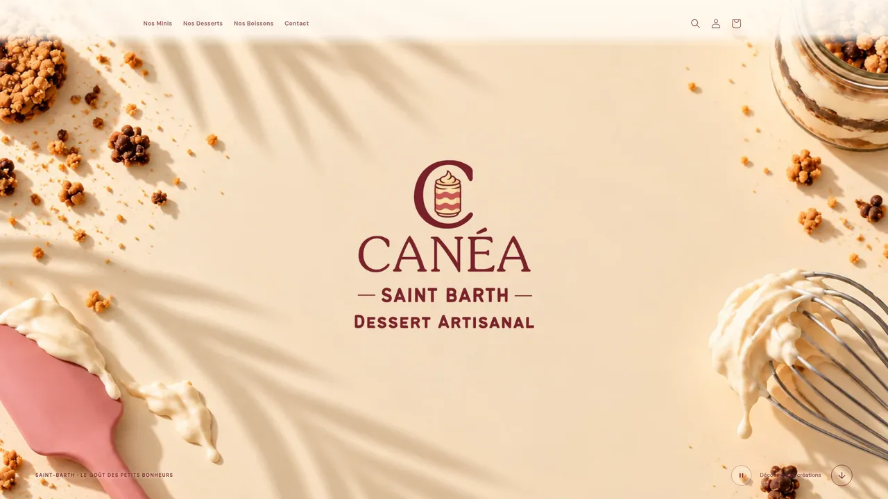 Aperçu du site caneastbarth.com