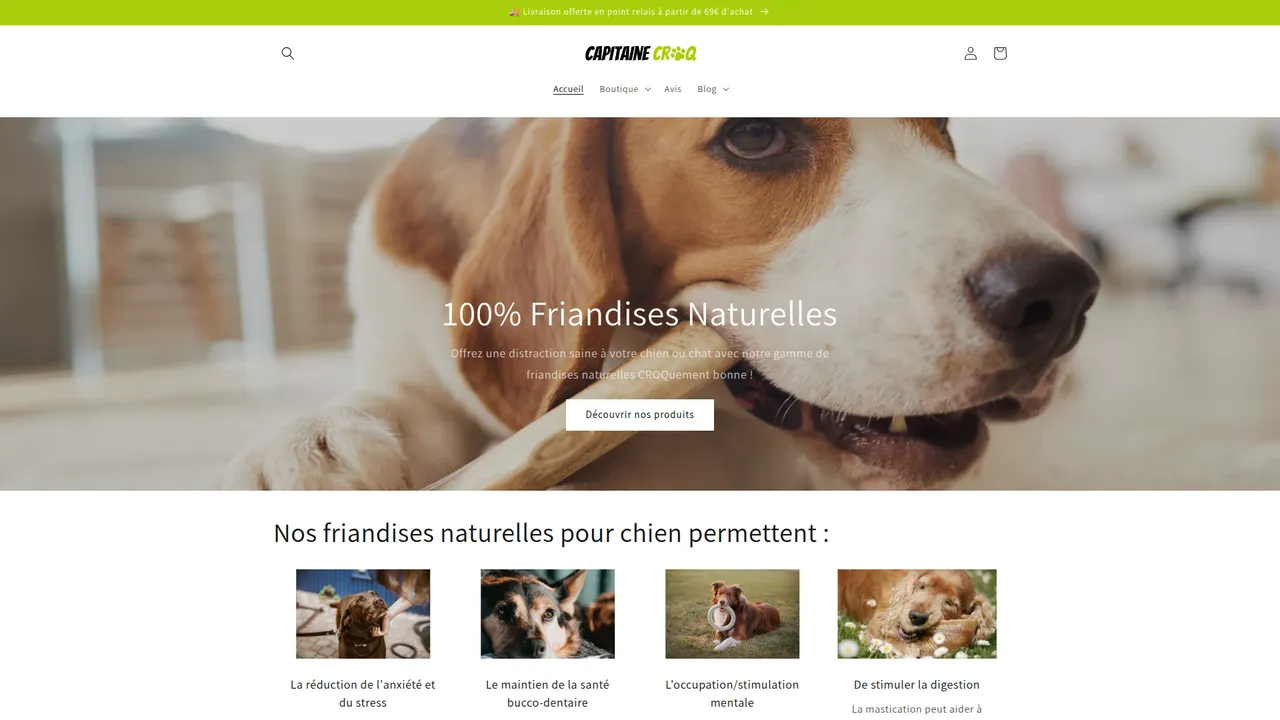 Aperçu du site Capitaine Croq