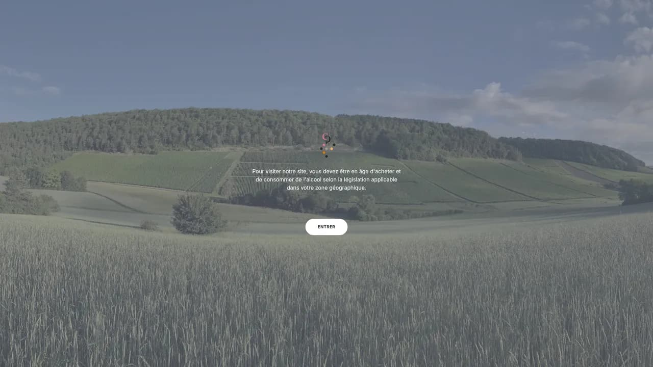 Aperçu du site Champagne Cottanceau Prignitz