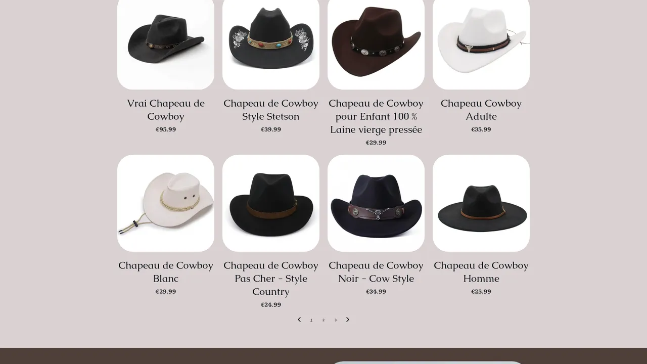 Aperçu du site Chapeau de Cowboy