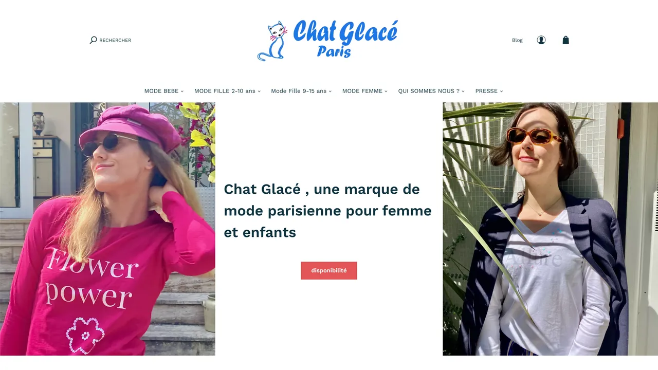 Aperçu du site chat-glace