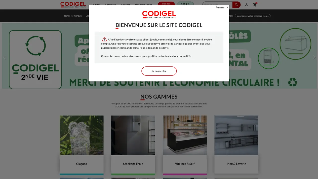 Aperçu du site Codigel