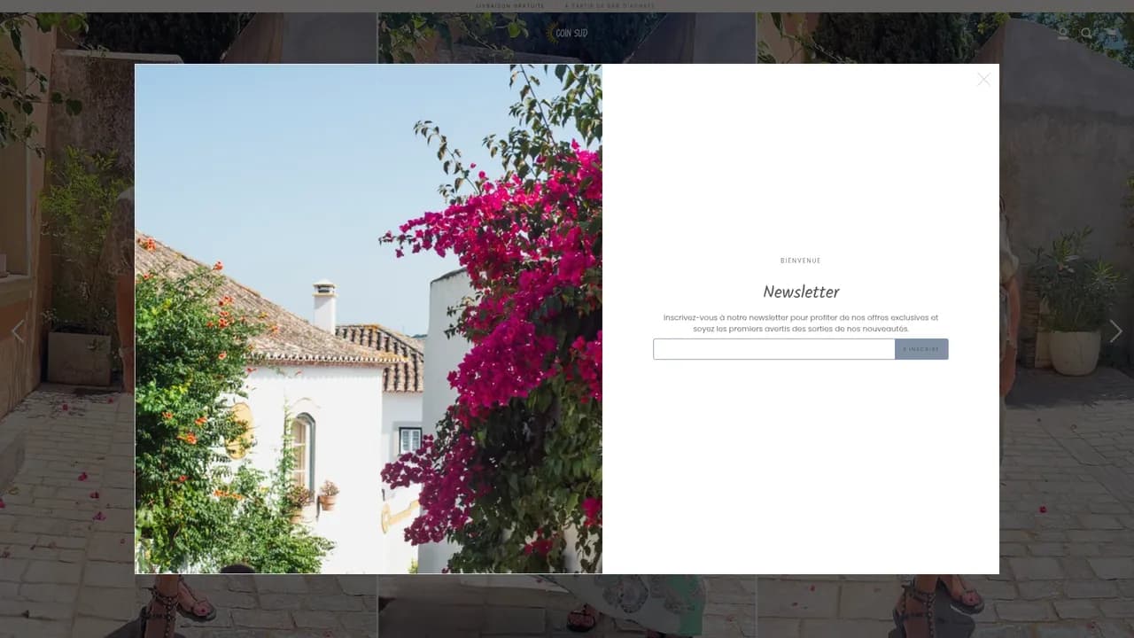 Aperçu du site Coin Sud