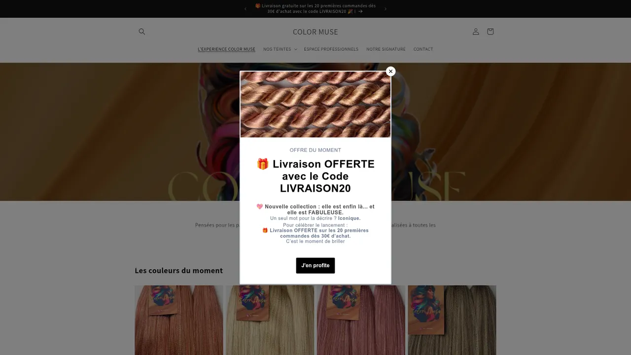 Aperçu du site COLOR MUSE