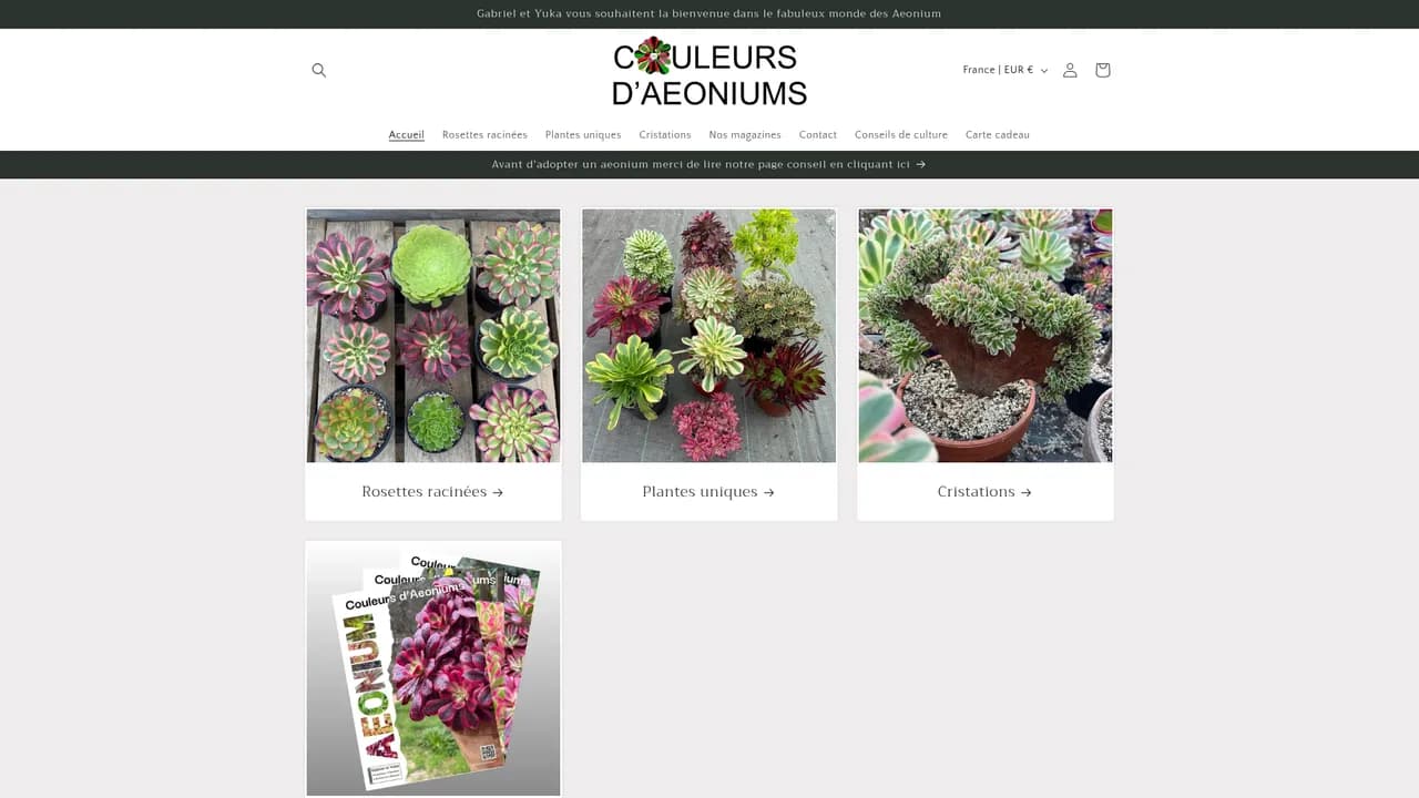 Aperçu du site COULEURS D'AEONIUMS