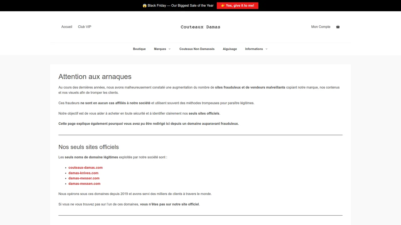 Aperçu du site Couteau Damas France