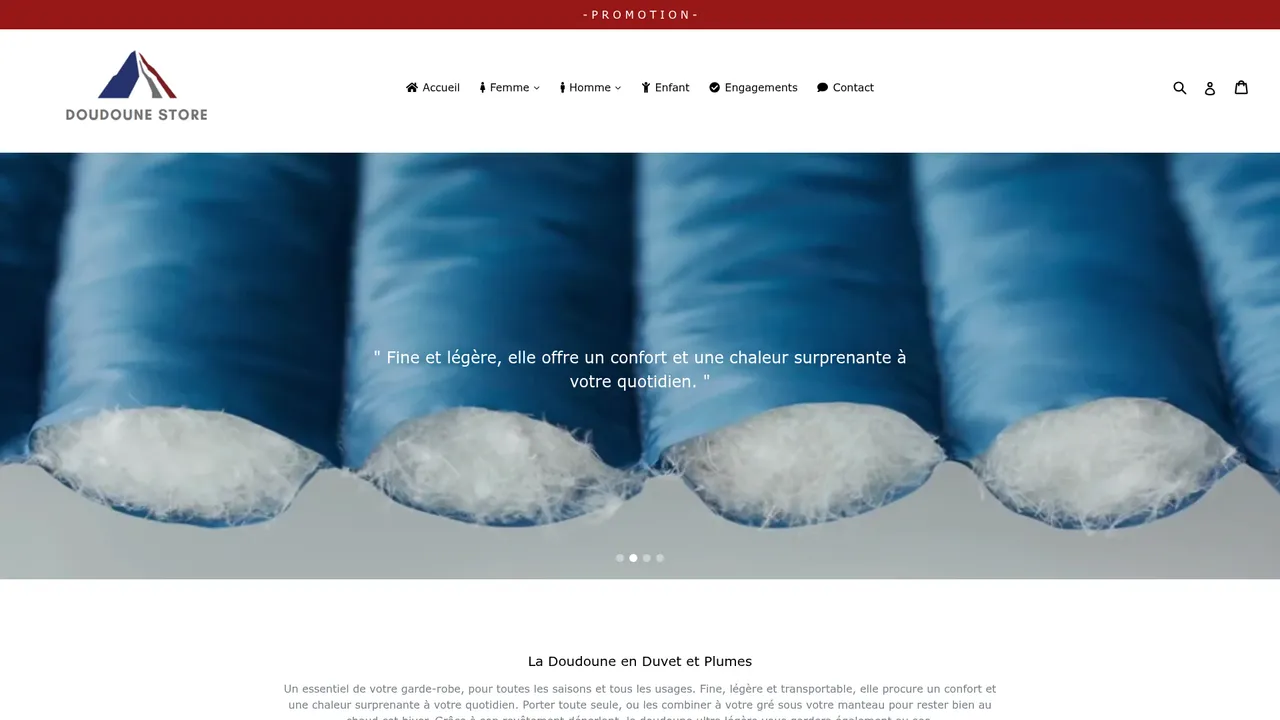 Aperçu du site DDN