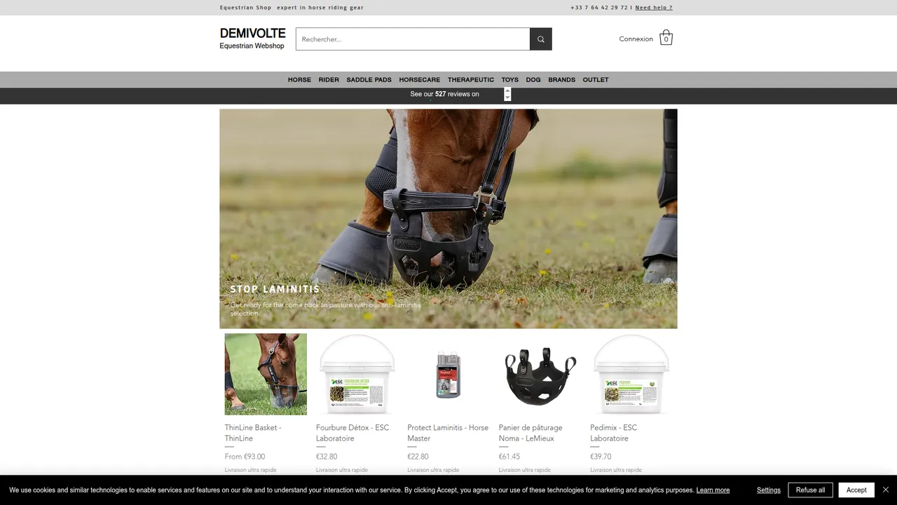 Screenshot de Demivolte