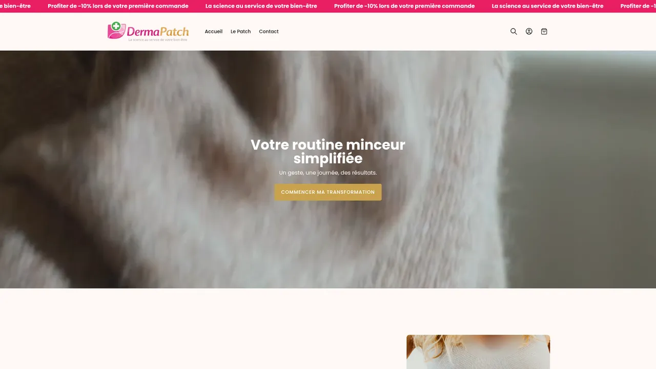 Aperçu du site DermaPatch