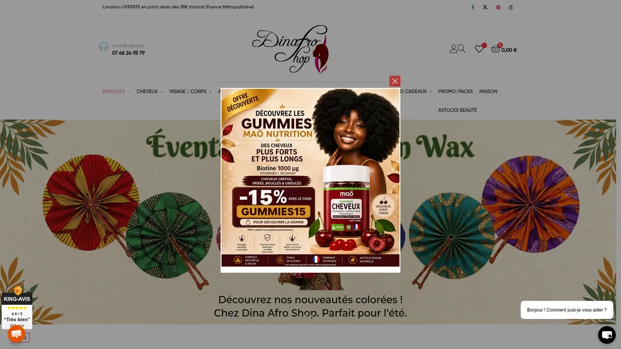 Aperçu du site DinaAfroShop