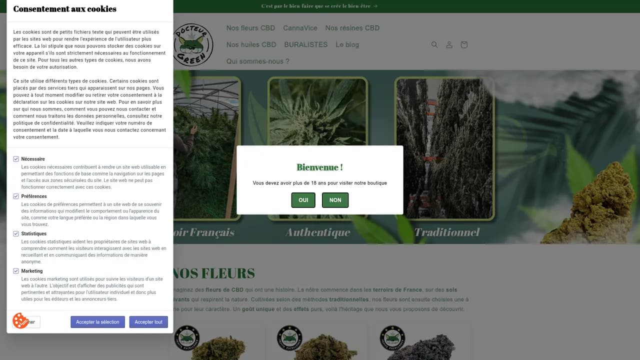 Aperçu du site Docteur Green