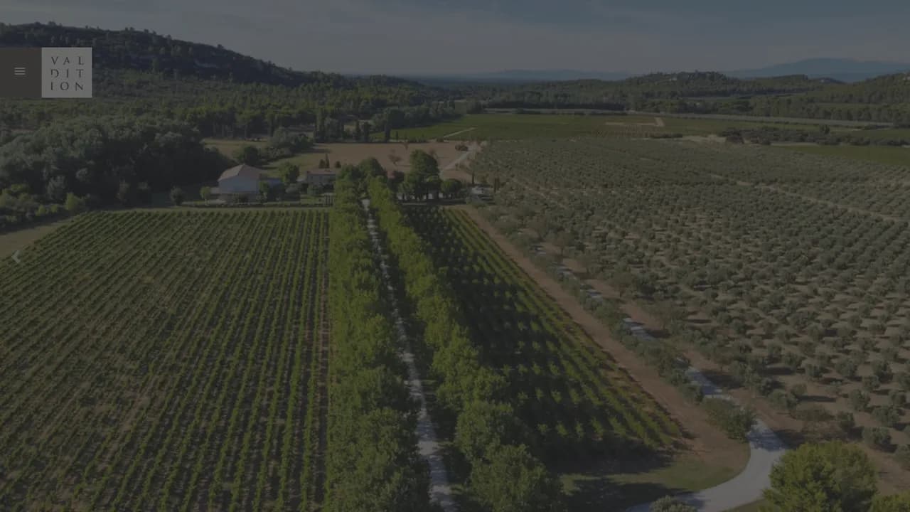 Aperçu du site Domaine de valdition