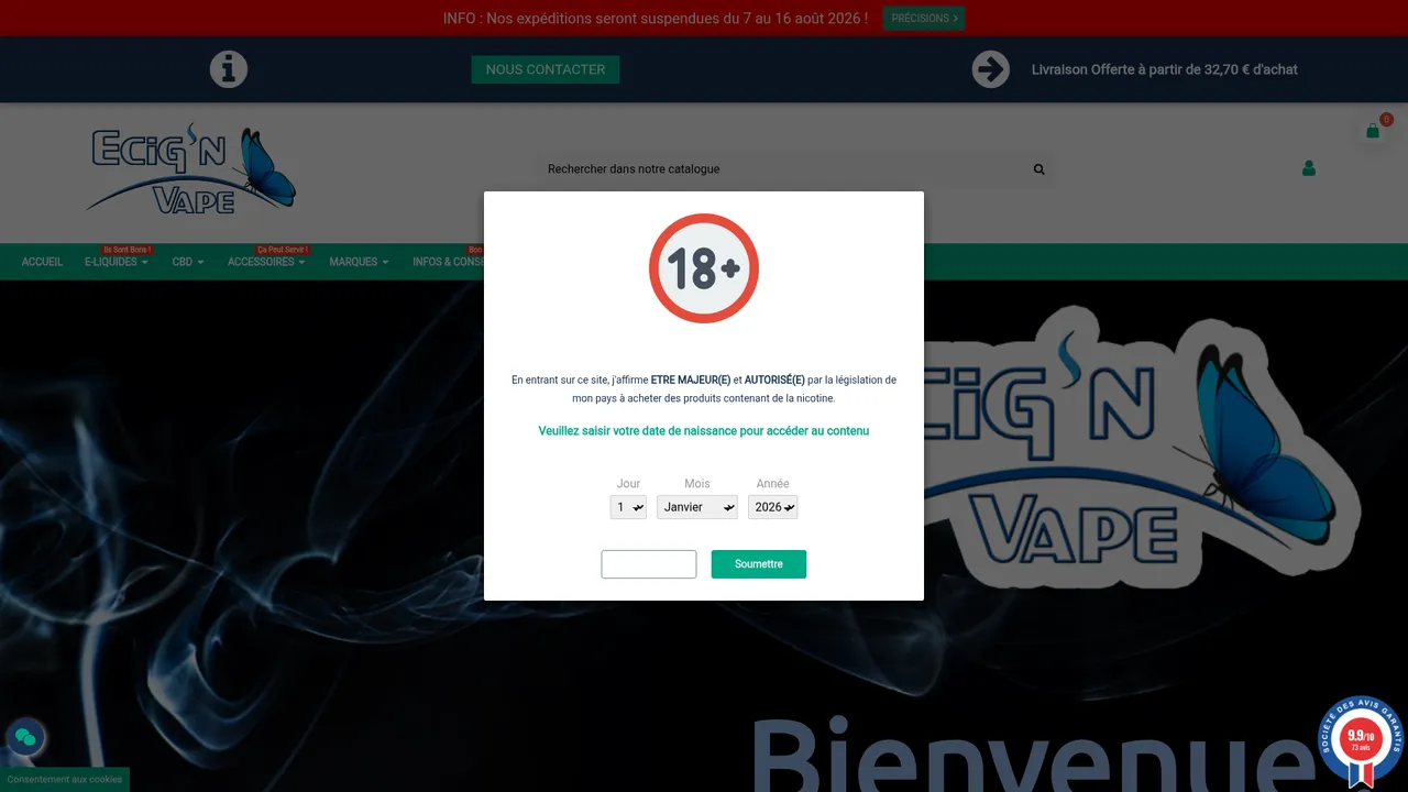 Aperçu du site Ecig'N Vape