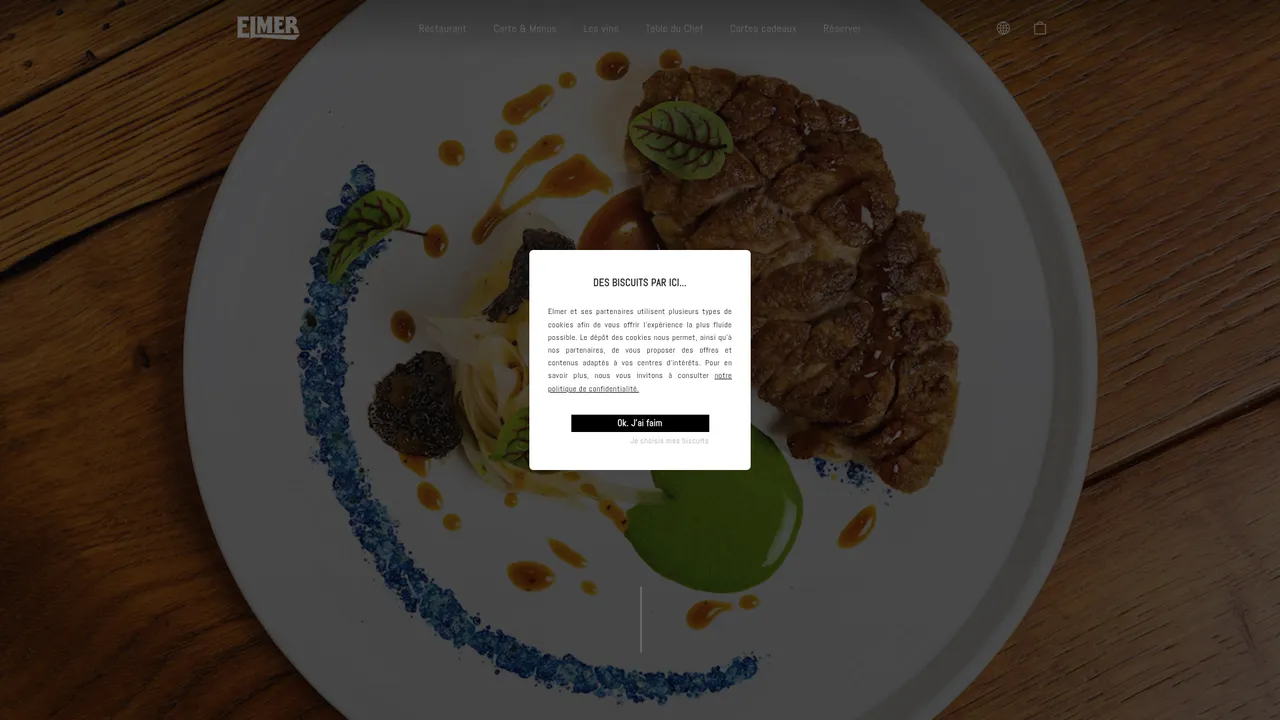 Aperçu du site Elmer Paris