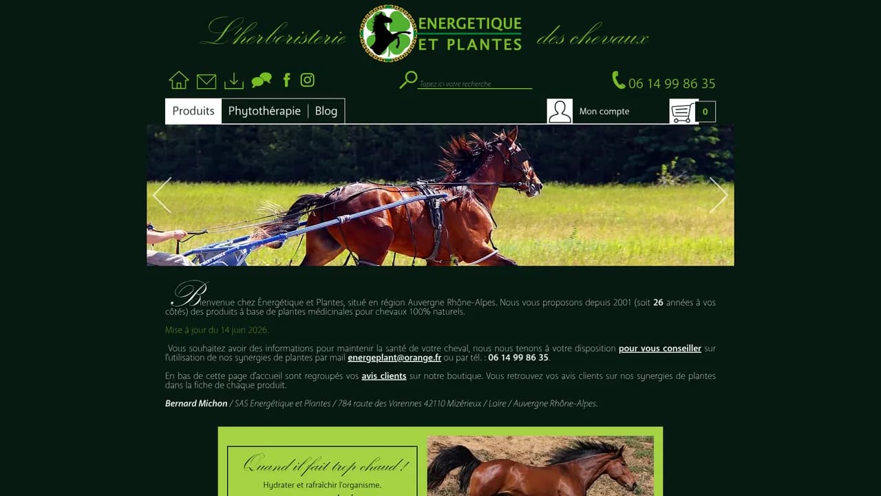 Aperçu du site Energetique et Plantes, compléments alimentaires pour chevaux
