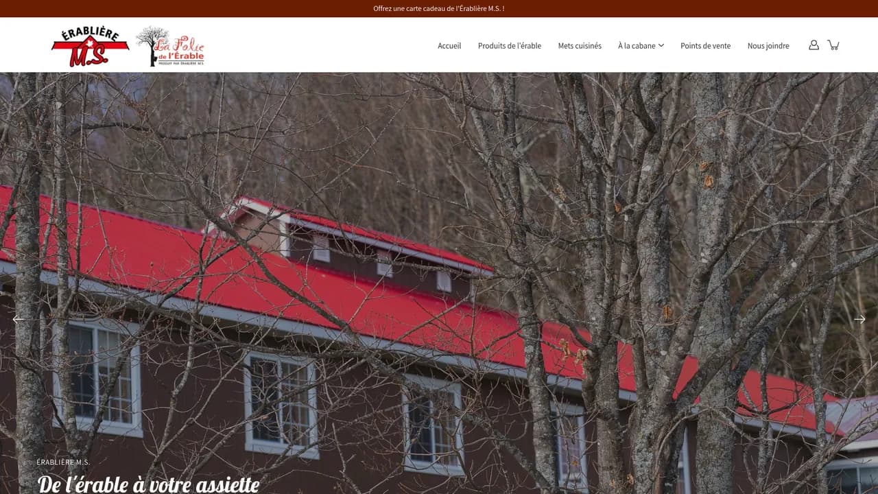 Screenshot de erablierems.com
