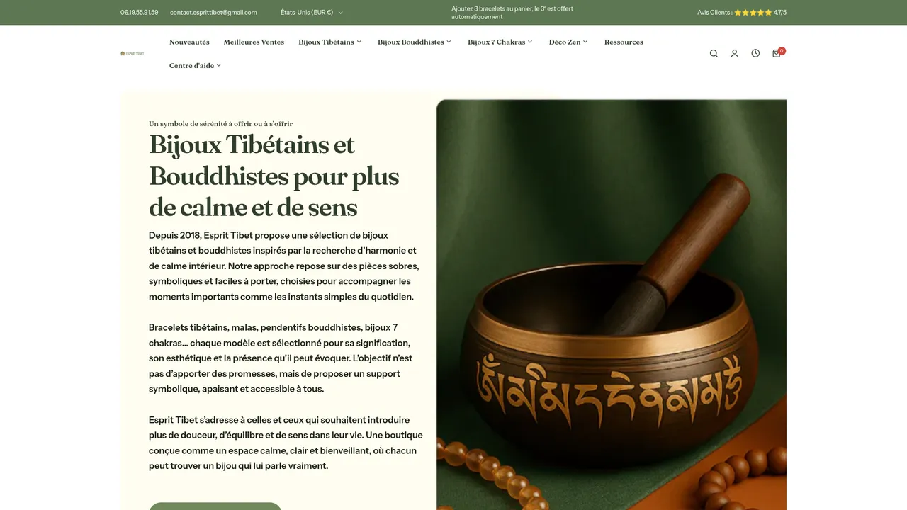 Aperçu du site Esprit Tibet