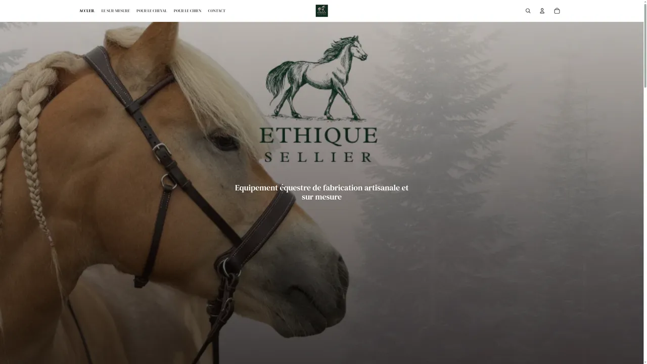 Screenshot de Ethique Sellier