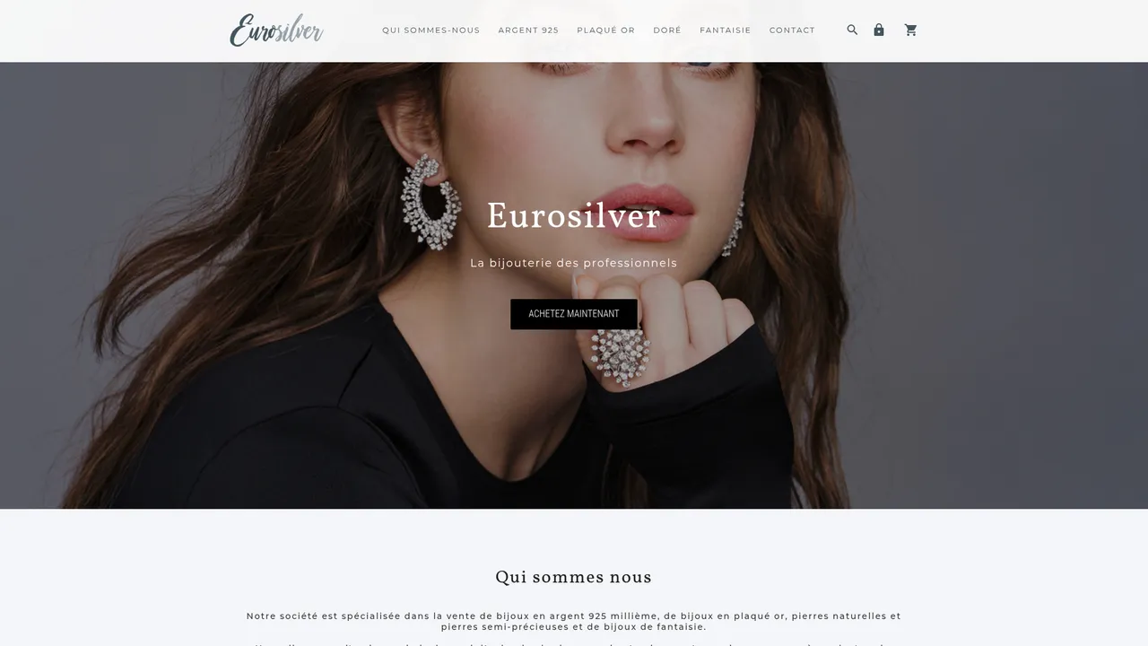 Aperçu du site Eurosilver